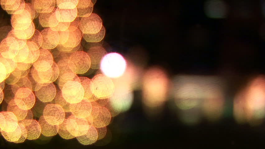 Rack focus of a large outdoor Christmas tree at night