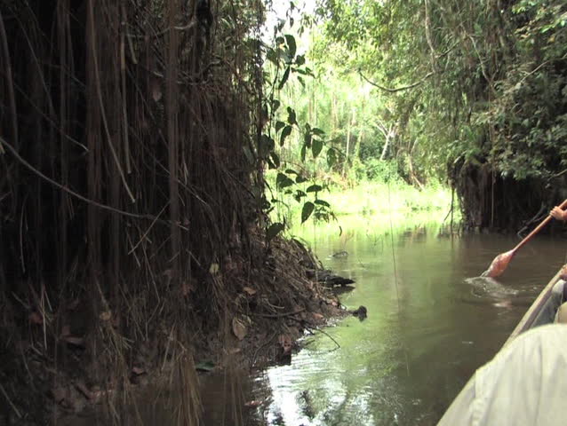 Paddling a dugout canoe on the Challuaycu Stream, Amazon