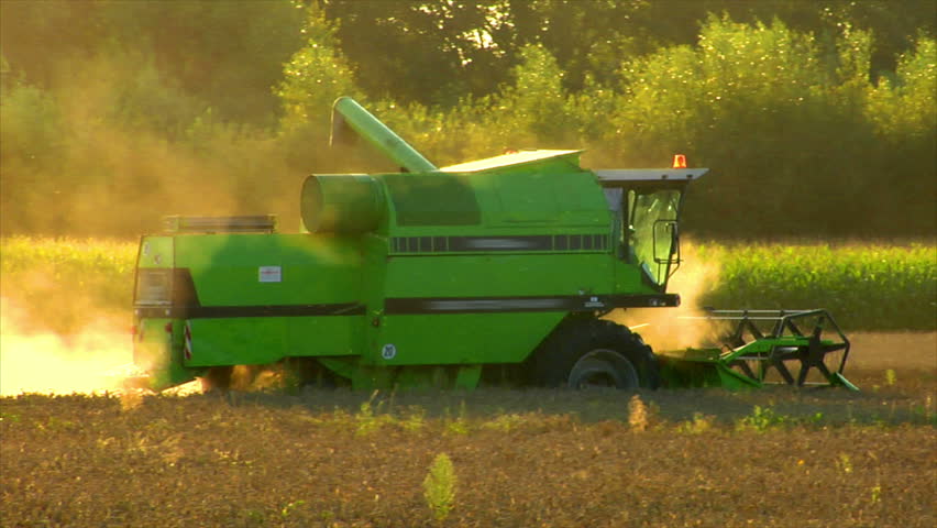 A combine harvester fill up a tractor trailer.
