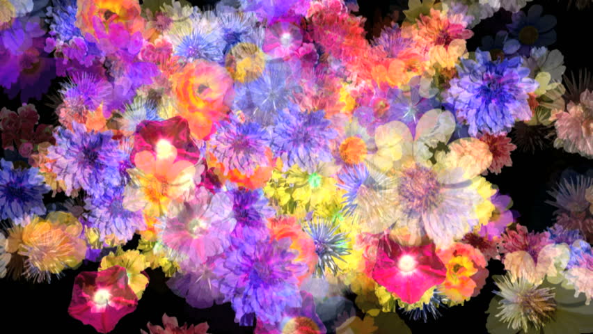 3d animation flower images