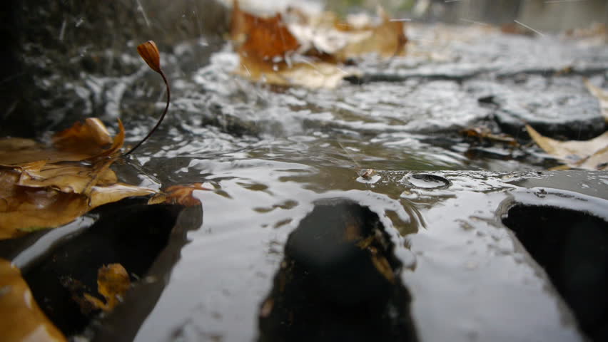 Autumn Rain. Rain drops falling over leaves, stream sunning to the sewer. Close up. Street puddle. Shallow DOF.