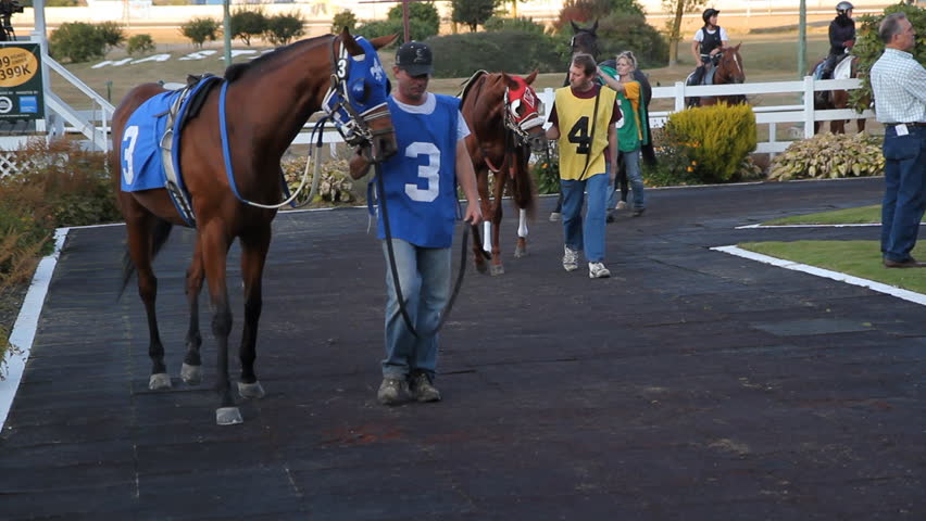 VANCOUVER, BC â OCTOBER 8th: Parade ring before a race at Hastings Racecourse on October 8th, 2012 in Vancouver, BC, Canada.  Hastings Racecourse is four miles from downtown Vancouver, BC, Canada.