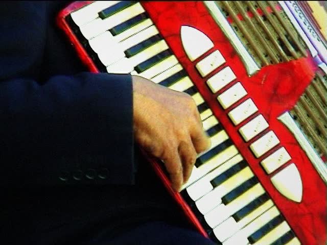 accordion player close up