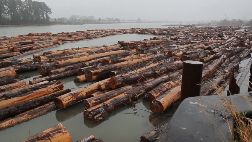 Fraser River Lumber. Wide shot.
Lumber in the Fraser River ready to go to the mill. Fraser River, Vancouver, British Columbia, Canada.
