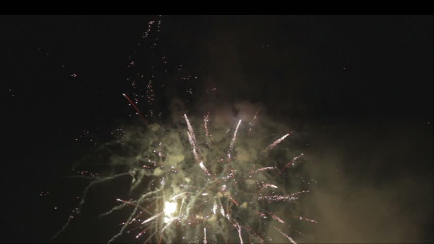 Fireworks in the night sky