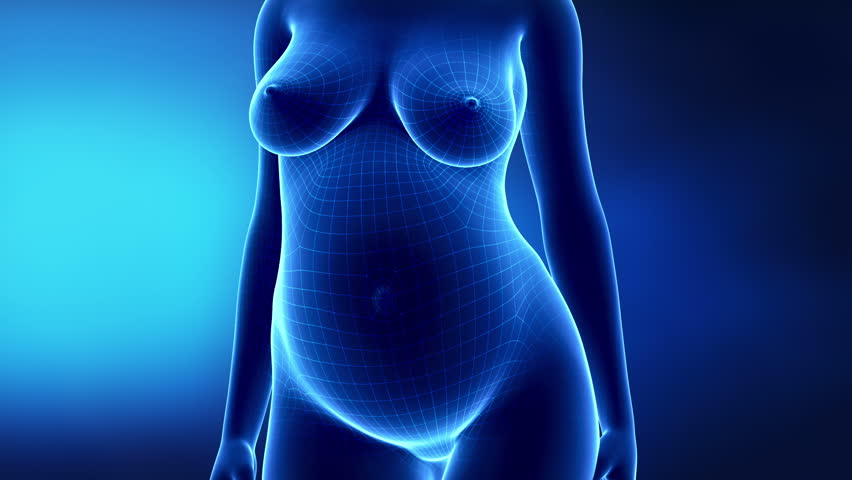 Pregnant female time-lapse anterior view
