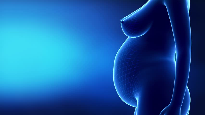 Pregnant woman time-lapse left lateral view

