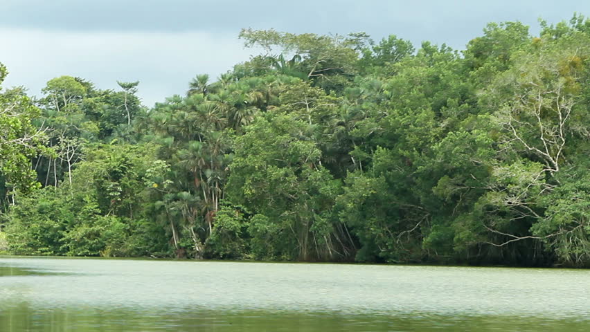 Beautiful day on the Napo river, shot from the canoe, includes audio, engine sound along with exotic birds singing in the background