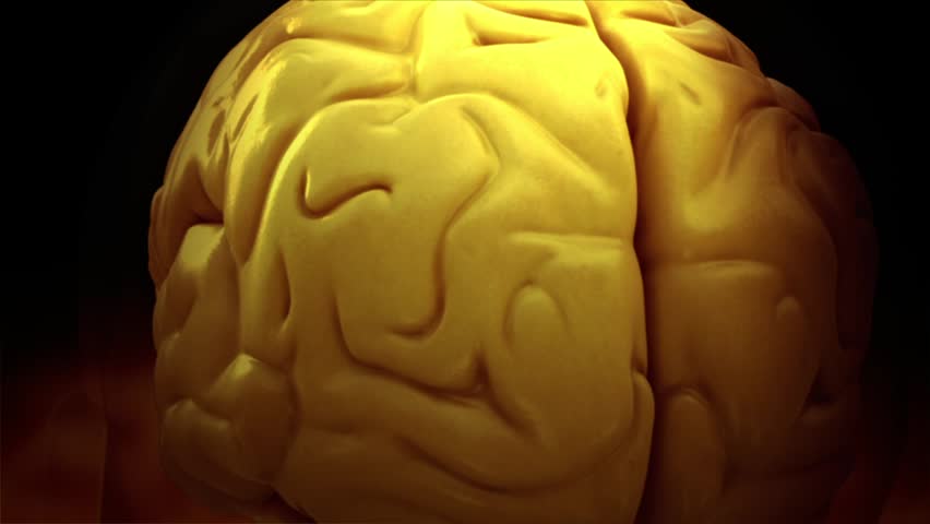 realistic 3D anatomical model showing  central nervous system including brain and eyes and then transitioning to high zoom of electrical activity via neurotransmitters and action potentials