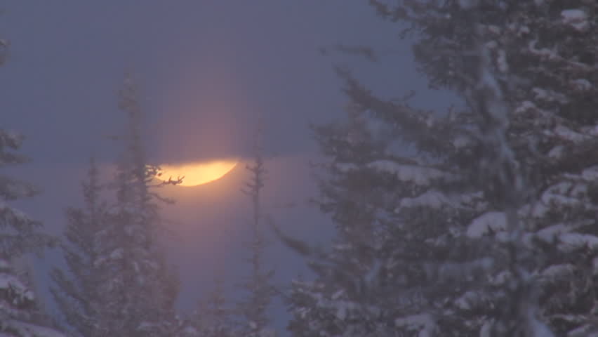 Creepy Haunting Cloudy Moonrise in Snowy Forest