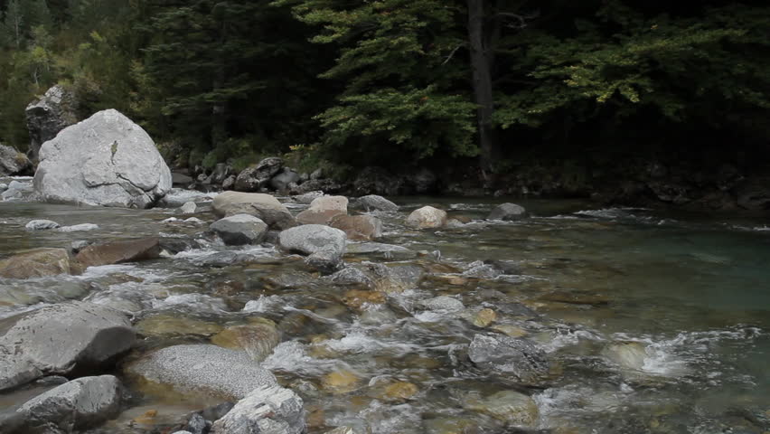 Ara River in Bujaruelo Valley. Ordesa National Park. Pyrenees, Huesca province. Spain, Europe