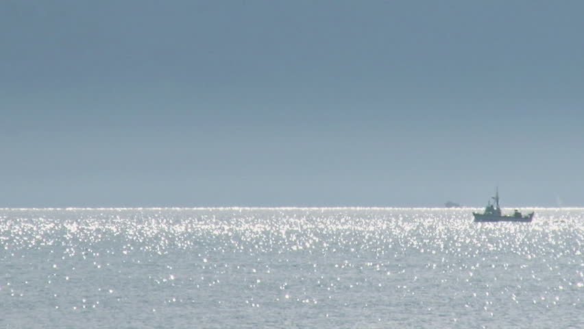 Boats on Glistening Bay with Whales