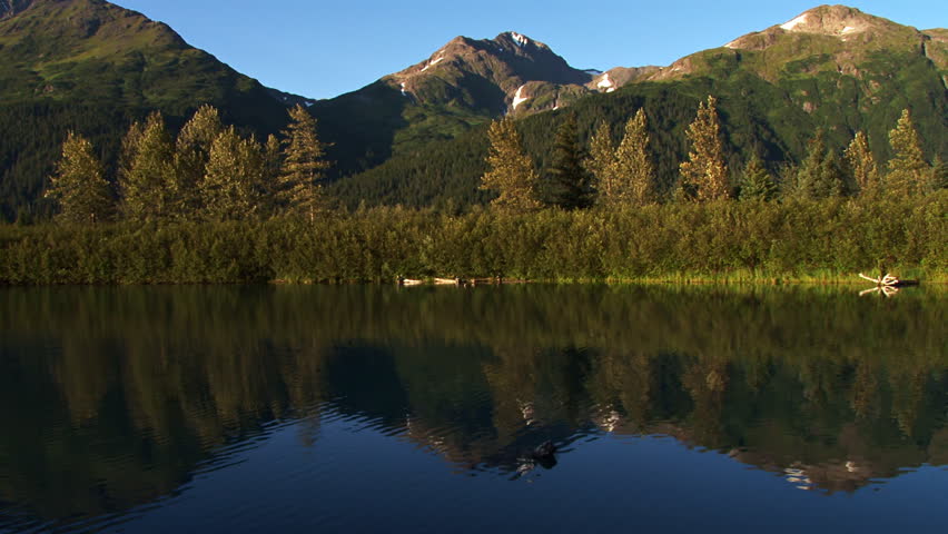 Alaskan mountains seen from a lakeshore in the Portage Valley, Alaska, reflecting in the tranquil waters of a small lake.