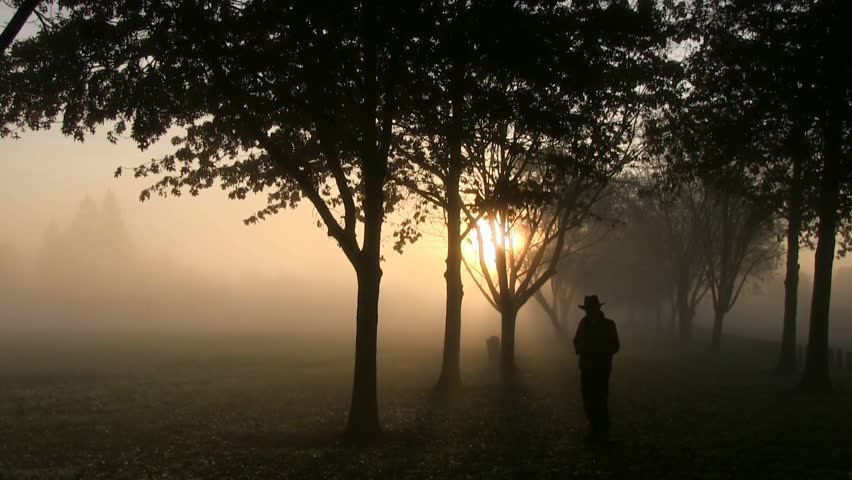  silhouetted man, texting and walking in a  foggy park