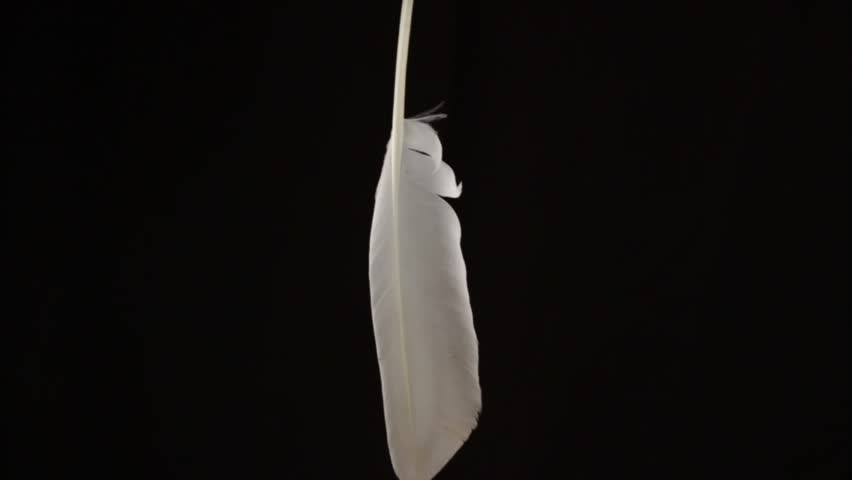 white feather spinning over black