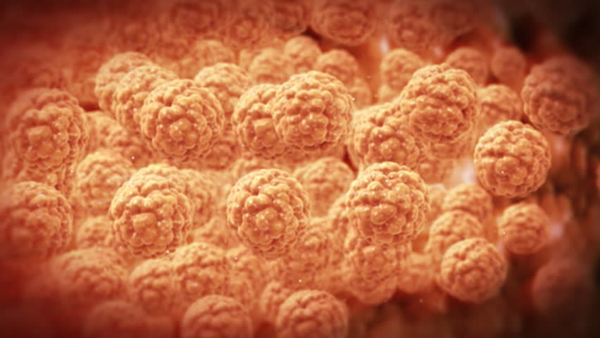 Inside human body,fat cells,highly detailed texture
