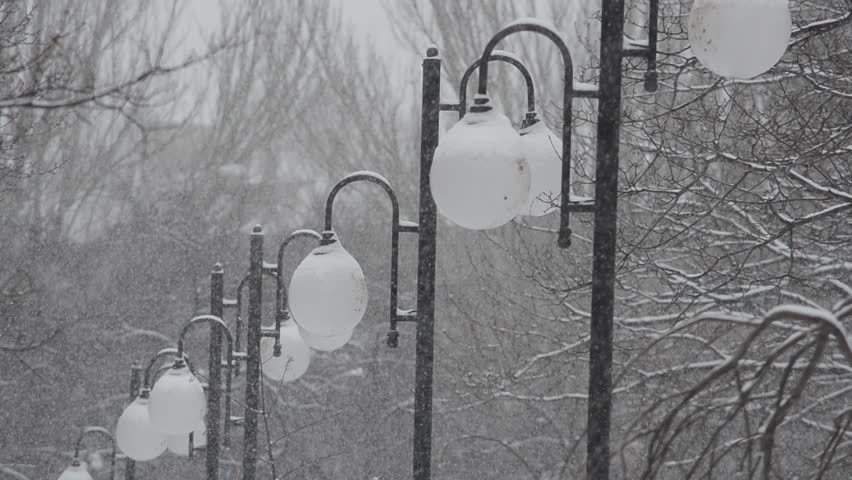 Blizzard
