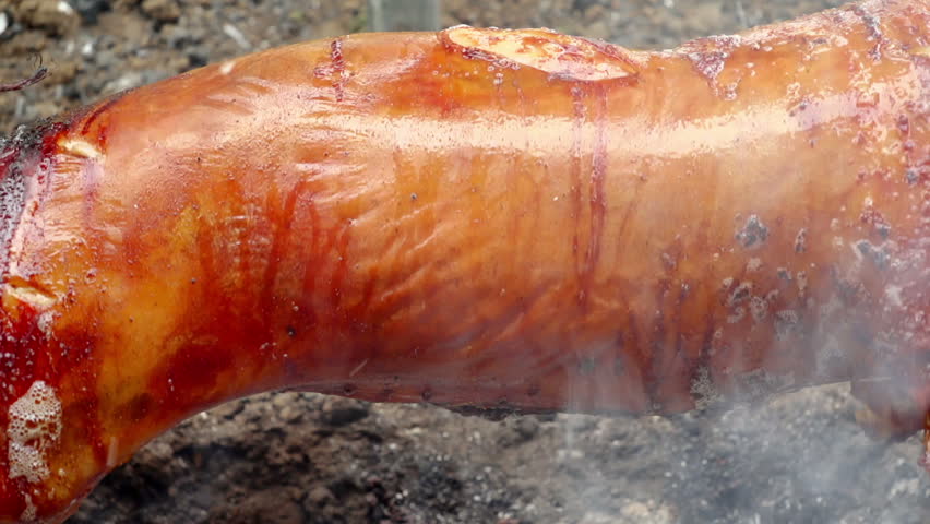 SUPER 35MM CAMERA - Pig on a spit. 
