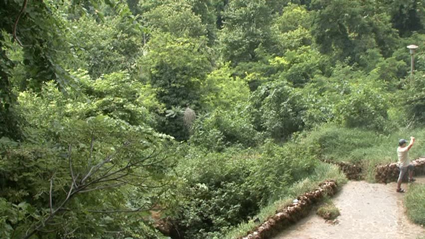Park, nature, waterfall