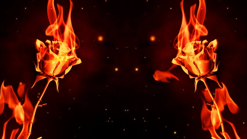 Burning fire roses Symmetrically rotate