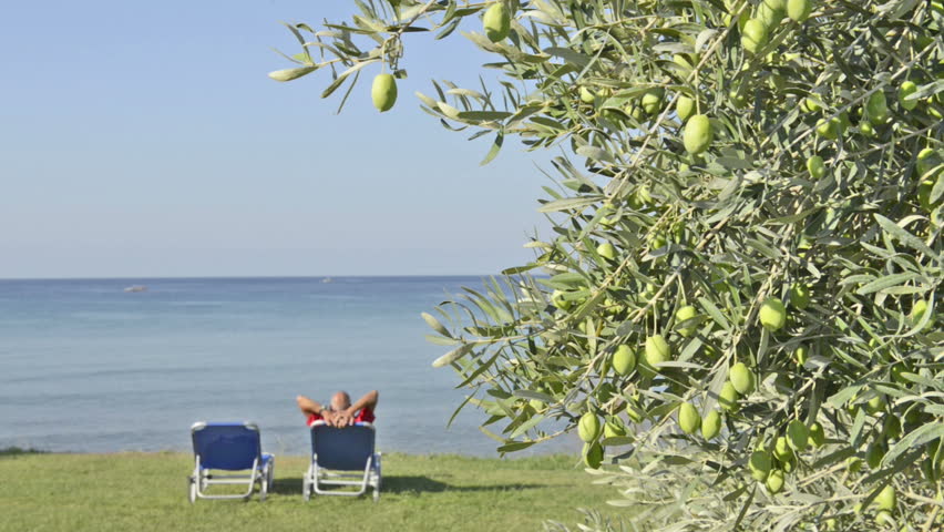 Olives close up against blue sea and sky