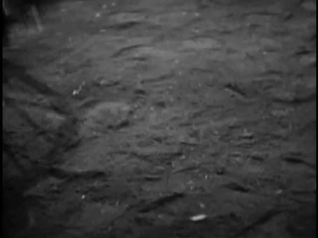 Handgun falling on ground