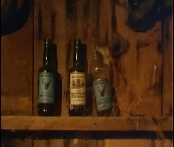 Close-up of whiskey bottles used as target practice