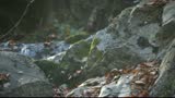 Water on the stones