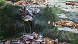 Water on the stones