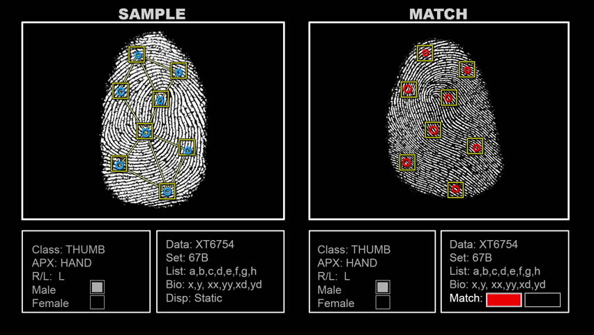 Finger Print Matching Interface Screen for Using it on your own TV Monitor or Computer as Special Effect.  All Original content, interface and fake scanned, altered prints.