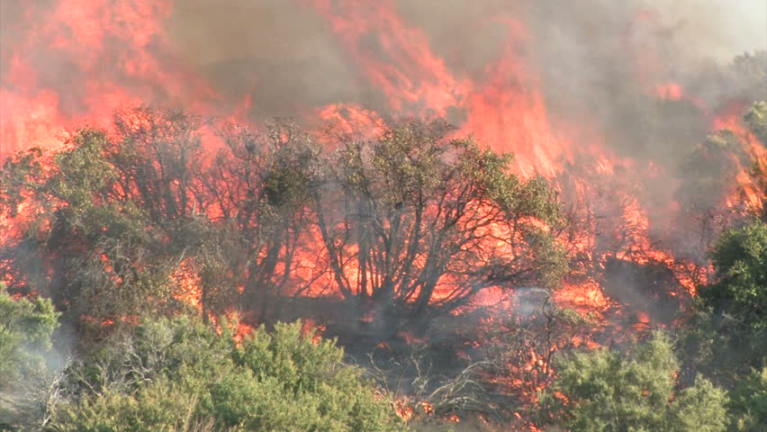 Wildfire Flames, Forest Fully Engulfed by Fire 1