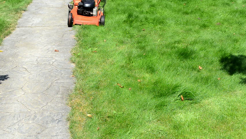 gardener male man with shorts and flip-flop shoes push mower cut lawn grass near stone path.