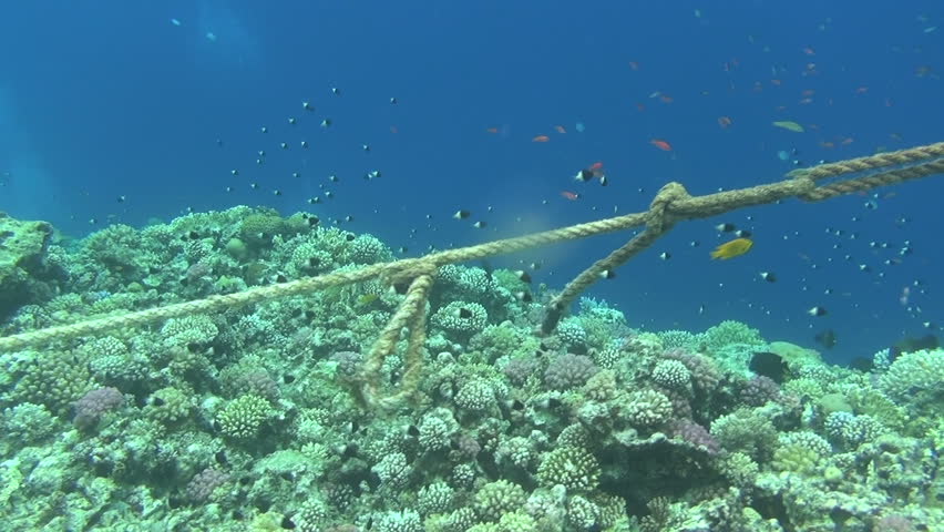 rope on reef 02