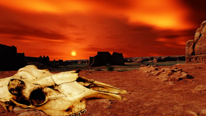 time-lapse of Arizona sunset in canyon with animal skull in foreground