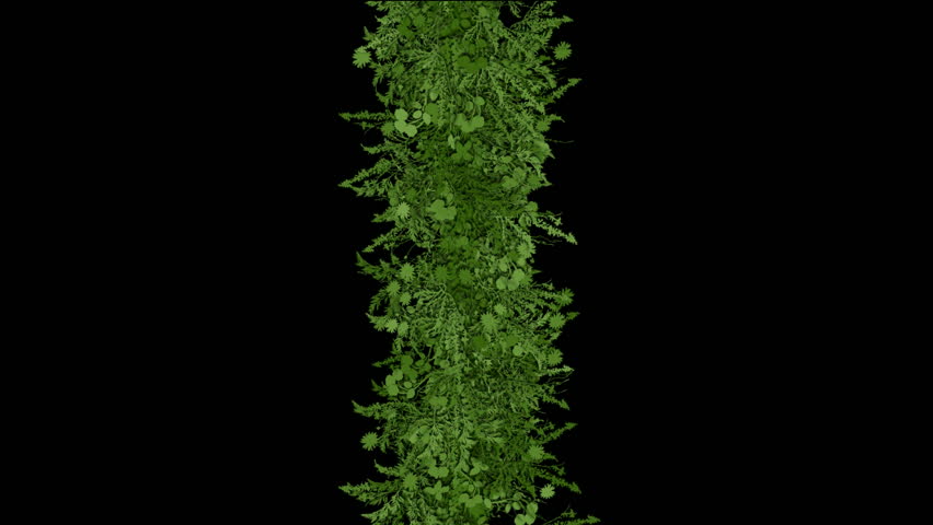 flower & plant growing background.