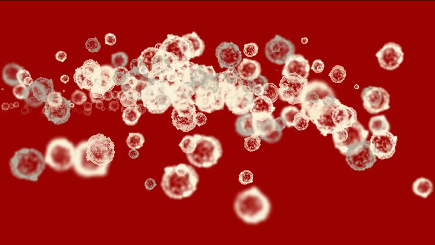cells & virus,dust particles.