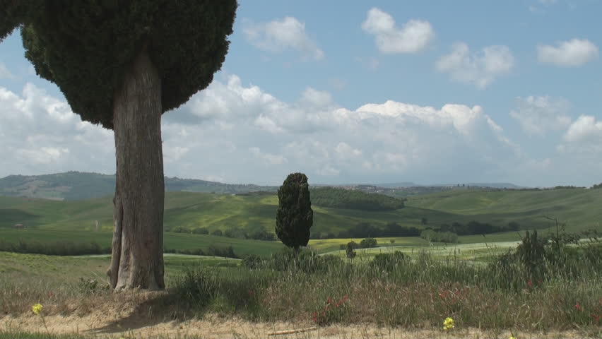 Typical landscape near Terrapille in Val d'Orcia in Tuscany, Italy