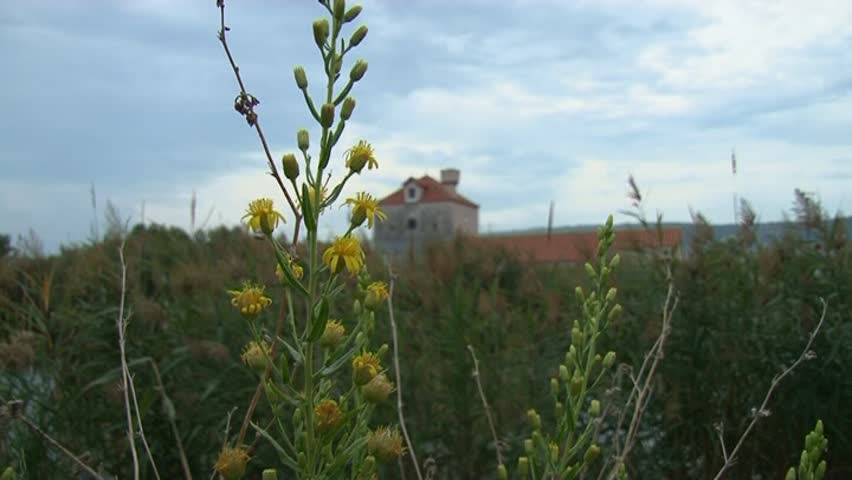 Nature in Trogir, Croatia