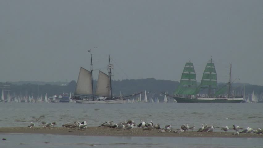 Seagulls on a sandbar