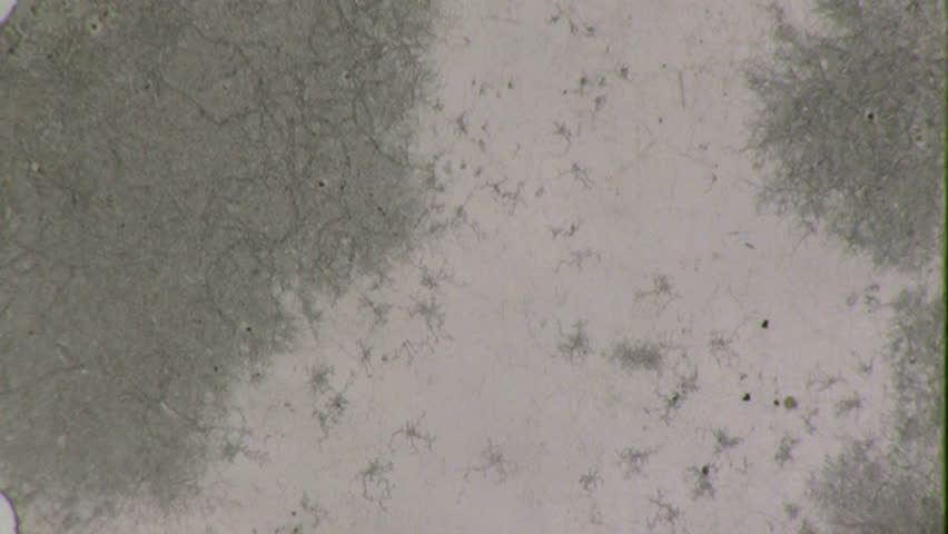 FILM FUNGUS Damaged Film Vintage 8mm Film Leader Texture Loop Retro Home Movie Footage