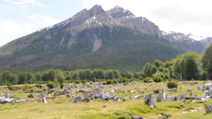 View from "End of the World" train. Ushuaia, Argentina