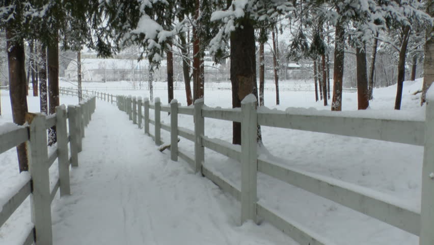 Fences around horse paddock in winter 2L

