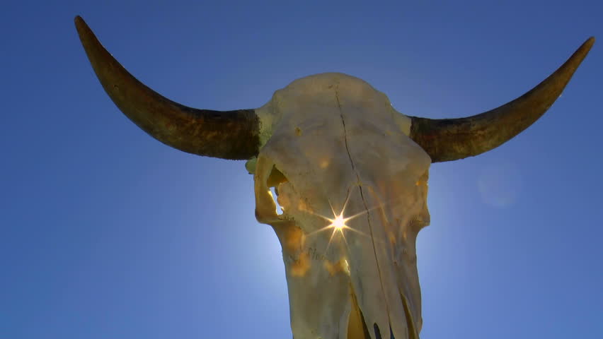 Sun bursts through cracks in animal, cow skull, blue sky background. 1080p