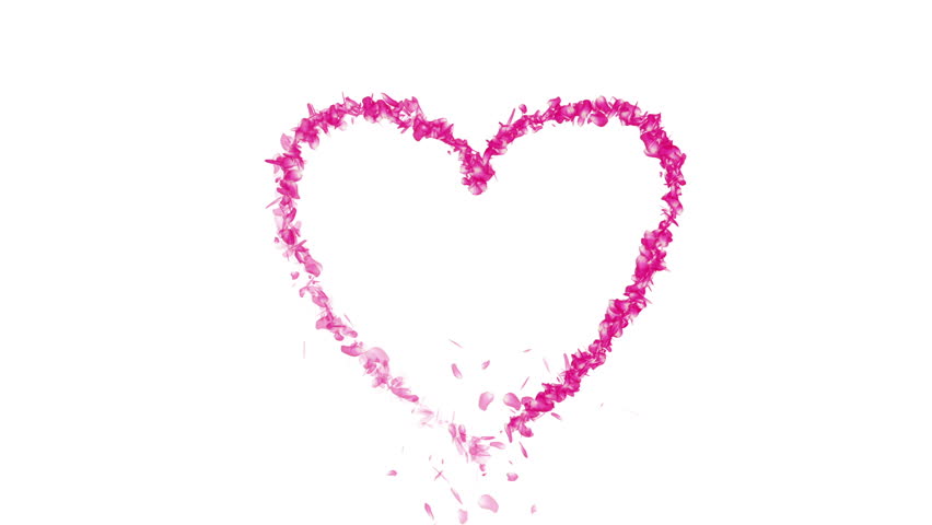 Heart Cherry Blossoms Pink