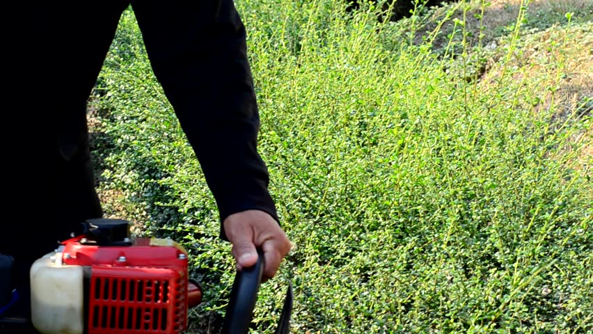 Worker cutting grass with lawn mower
