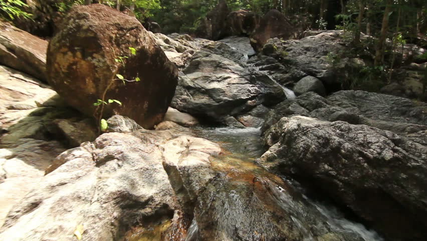 Deep forest clear water stream - Glidecam shot going uphill over a mountain freshwater stream, large stones creating small cascading waterfalls