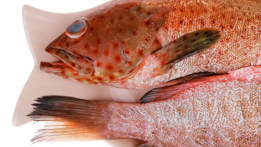 set of fresh raw fish on plate over white background