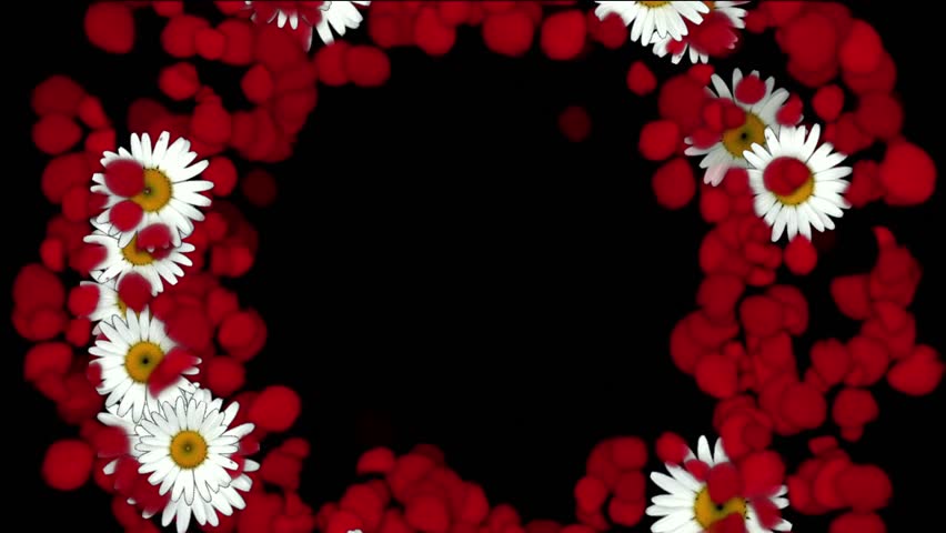 rose petals & daisy shaped wreath,wedding background,Valentine's Day.