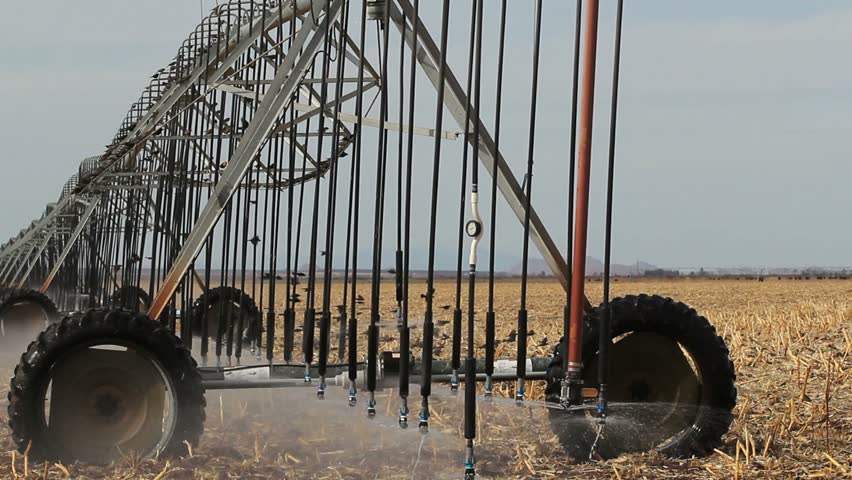 Time Lapse, Birds swoop through, around, pivot irrigation system as it moves, slowly, watering farm field. 1080p