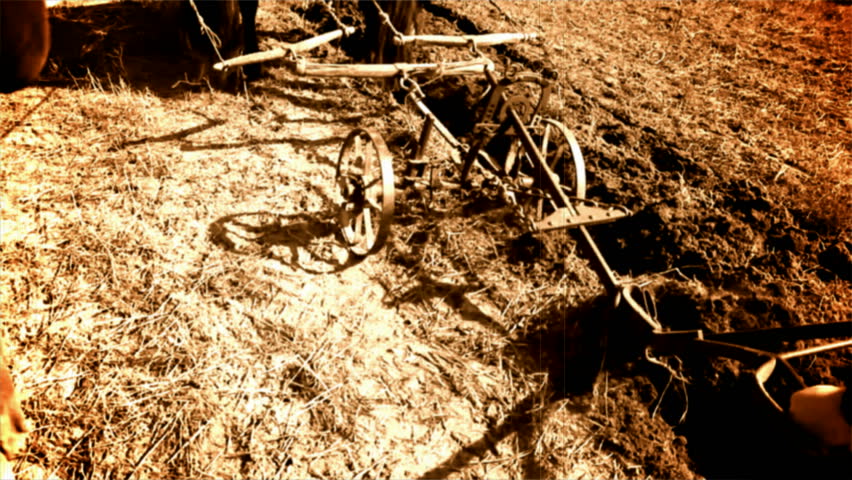 old wooden plow ; plowing with horses that pull a wooden plow in the old way,video clip processed that looks like an old movie cinema
